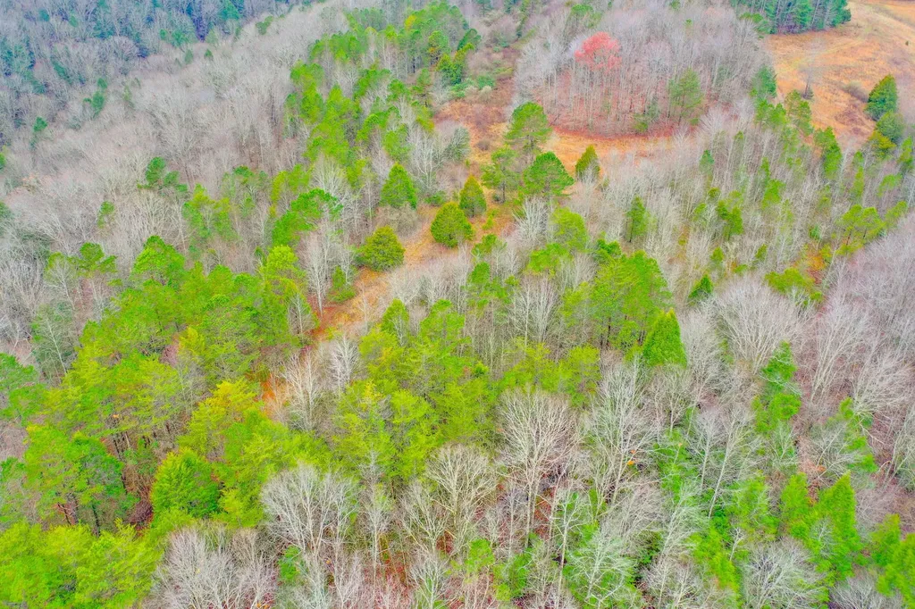 9999 War Fork Road Mckee KY 40447