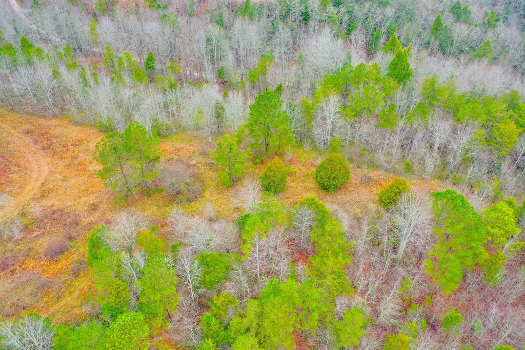 9999 War Fork Road Mckee KY 40447