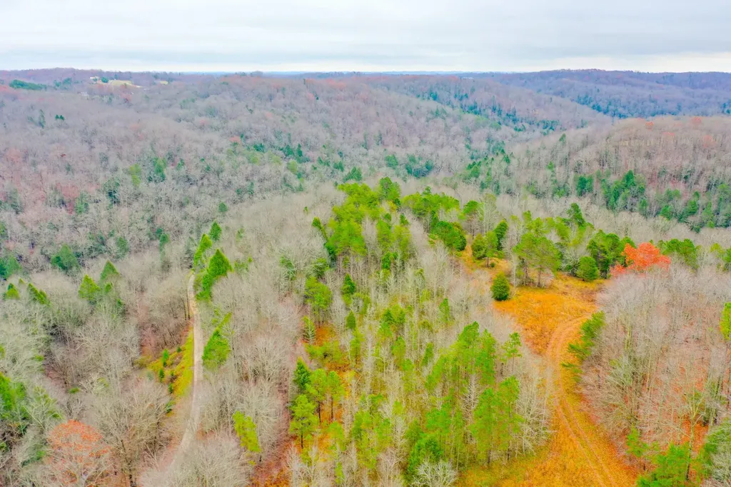 9999 War Fork Road Mckee KY 40447
