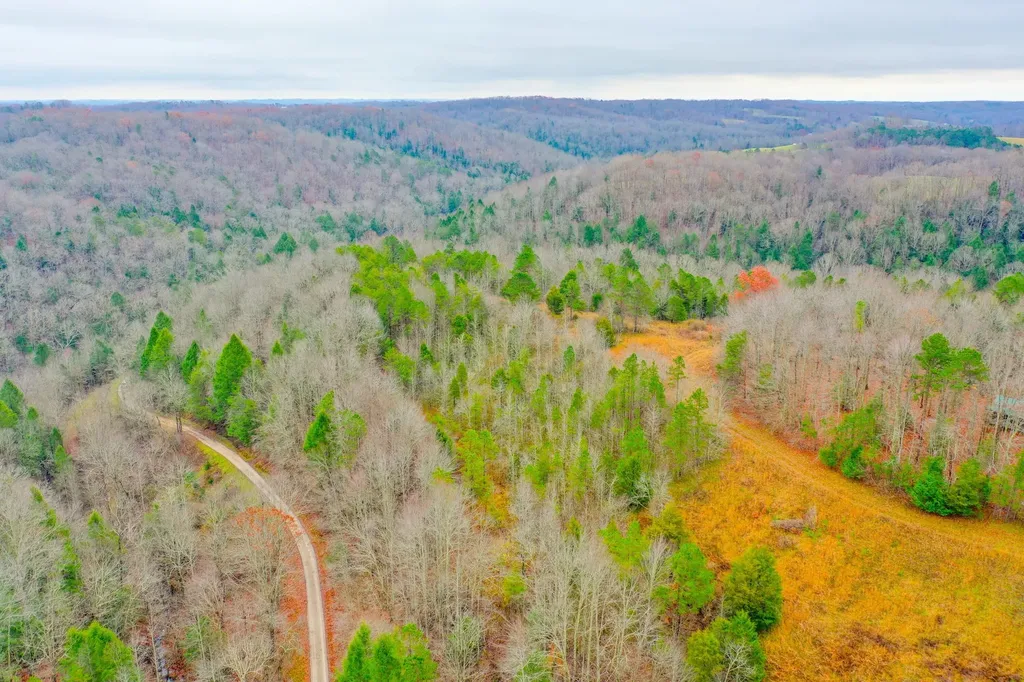 9999 War Fork Road Mckee KY 40447