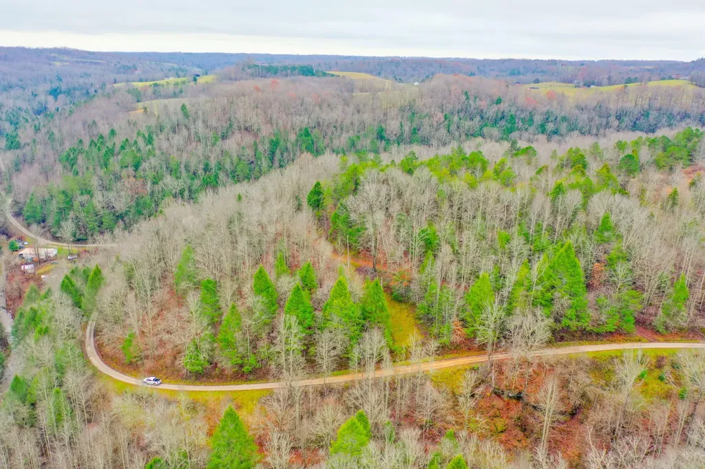 9999 War Fork Road Mckee KY 40447