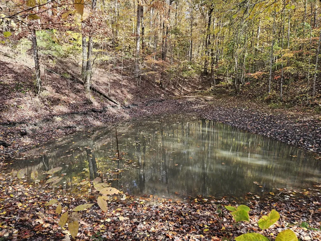 320 Cravens Hollow Road Liberty KY 42539