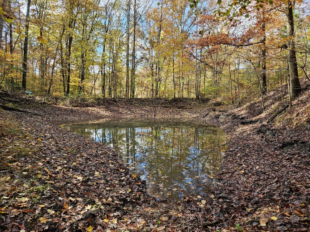 320 Cravens Hollow Road Liberty KY 42539