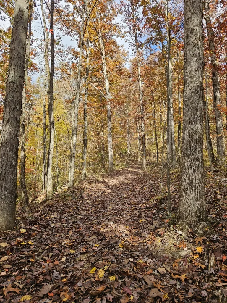 320 Cravens Hollow Road Liberty KY 42539