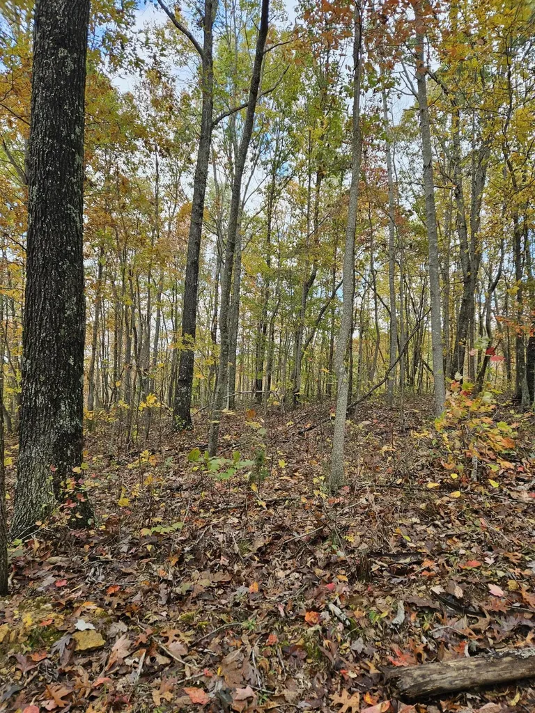 320 Cravens Hollow Road Liberty KY 42539