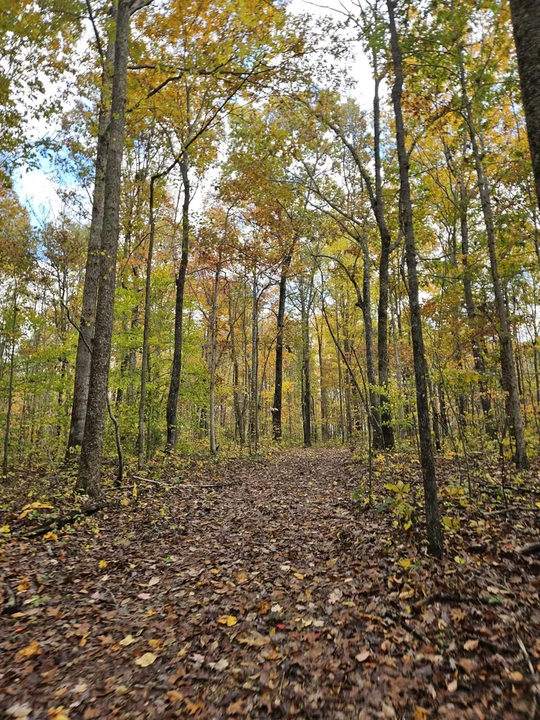 320 Cravens Hollow Road Liberty KY 42539
