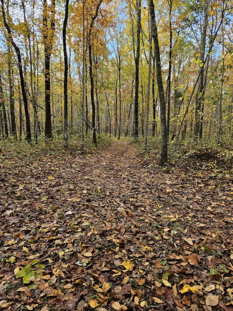 320 Cravens Hollow Road Liberty KY 42539