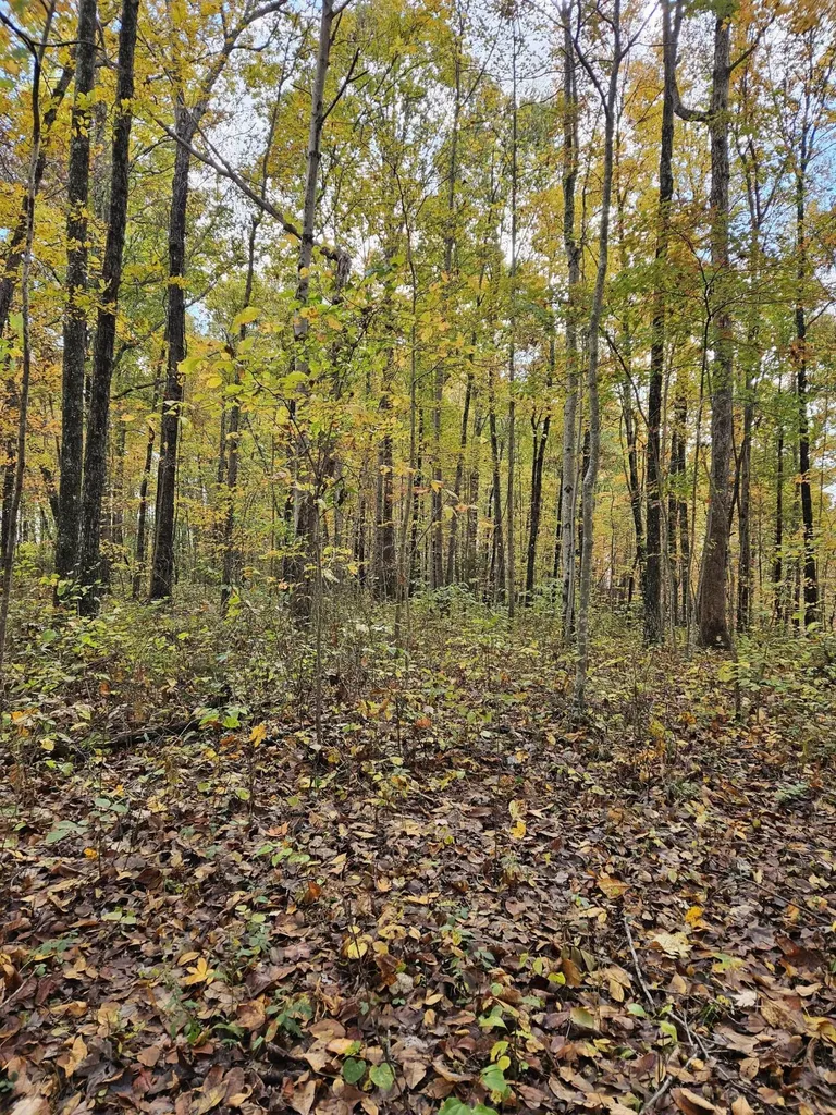320 Cravens Hollow Road Liberty KY 42539