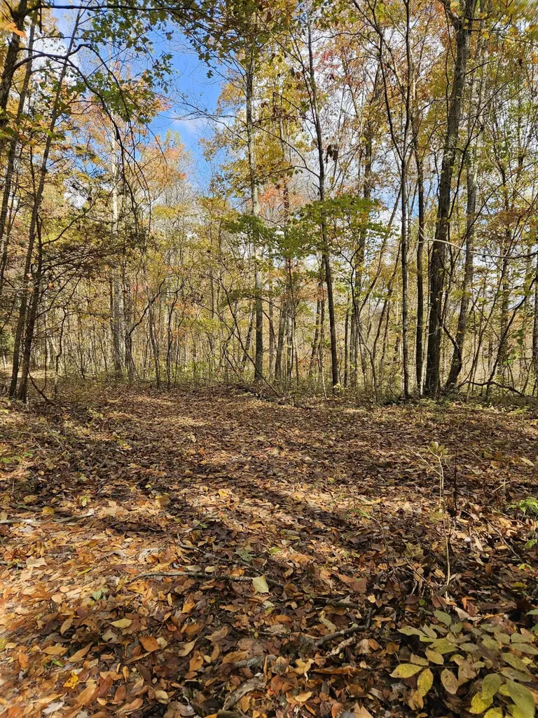 320 Cravens Hollow Road Liberty KY 42539