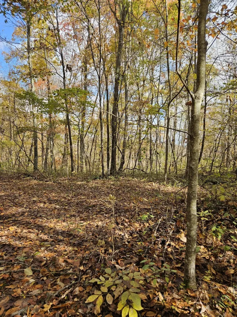 320 Cravens Hollow Road Liberty KY 42539