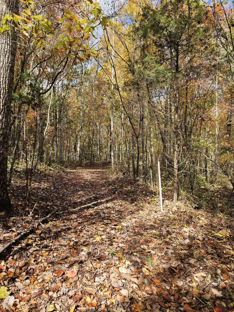 320 Cravens Hollow Road Liberty KY 42539