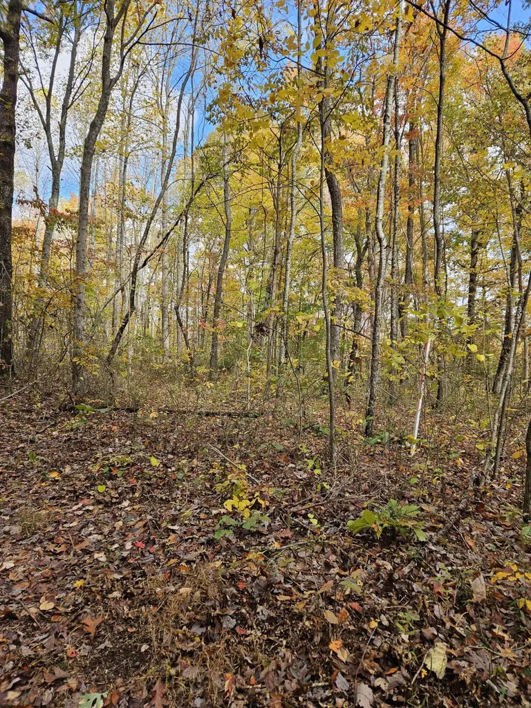 320 Cravens Hollow Road Liberty KY 42539