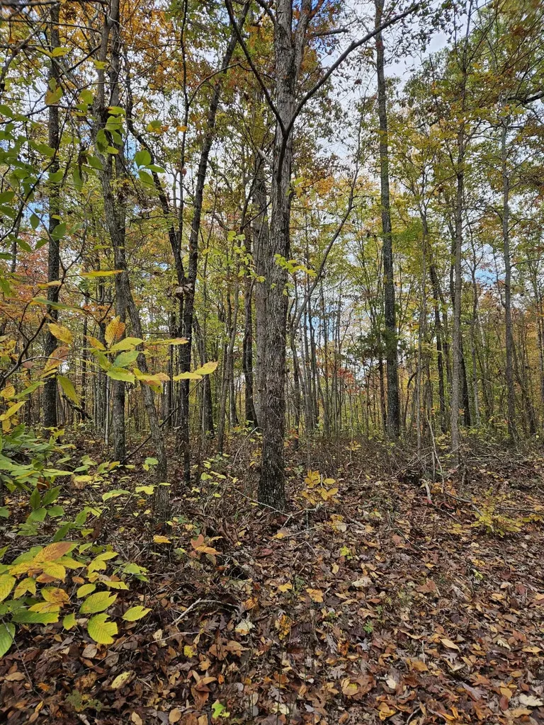 320 Cravens Hollow Road Liberty KY 42539