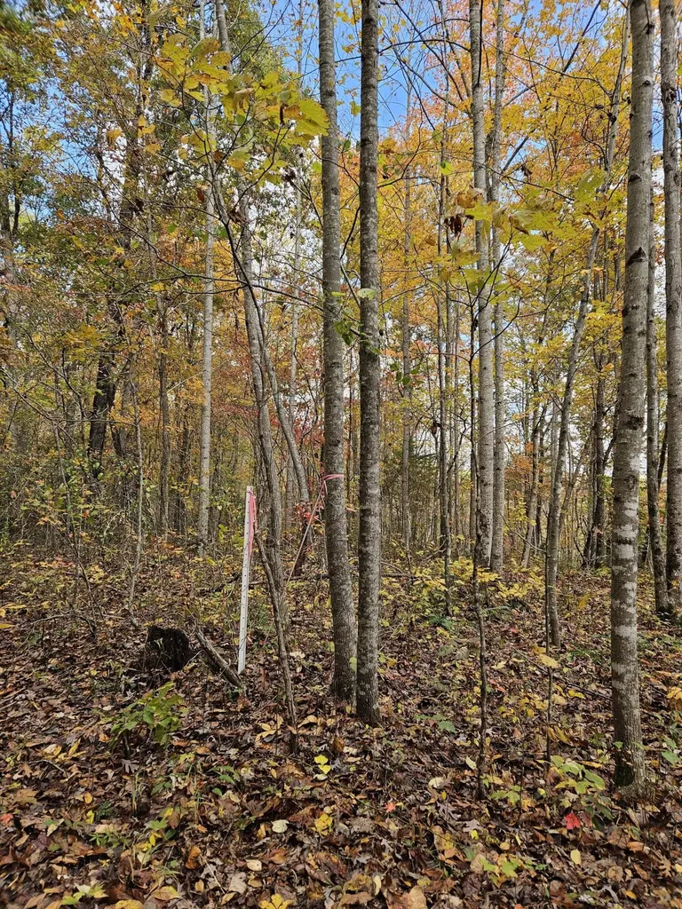 320 Cravens Hollow Road Liberty KY 42539