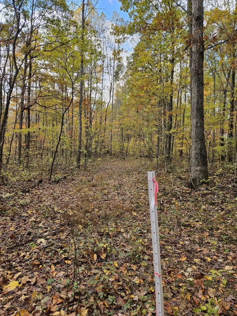 320 Cravens Hollow Road Liberty KY 42539