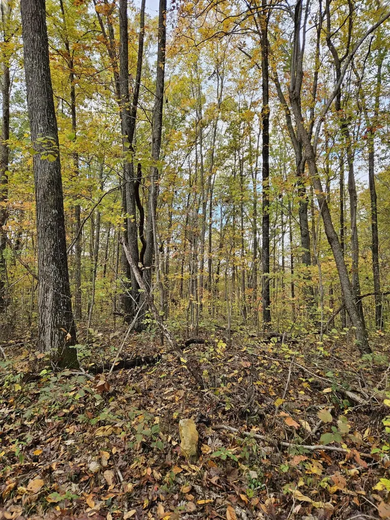 320 Cravens Hollow Road Liberty KY 42539