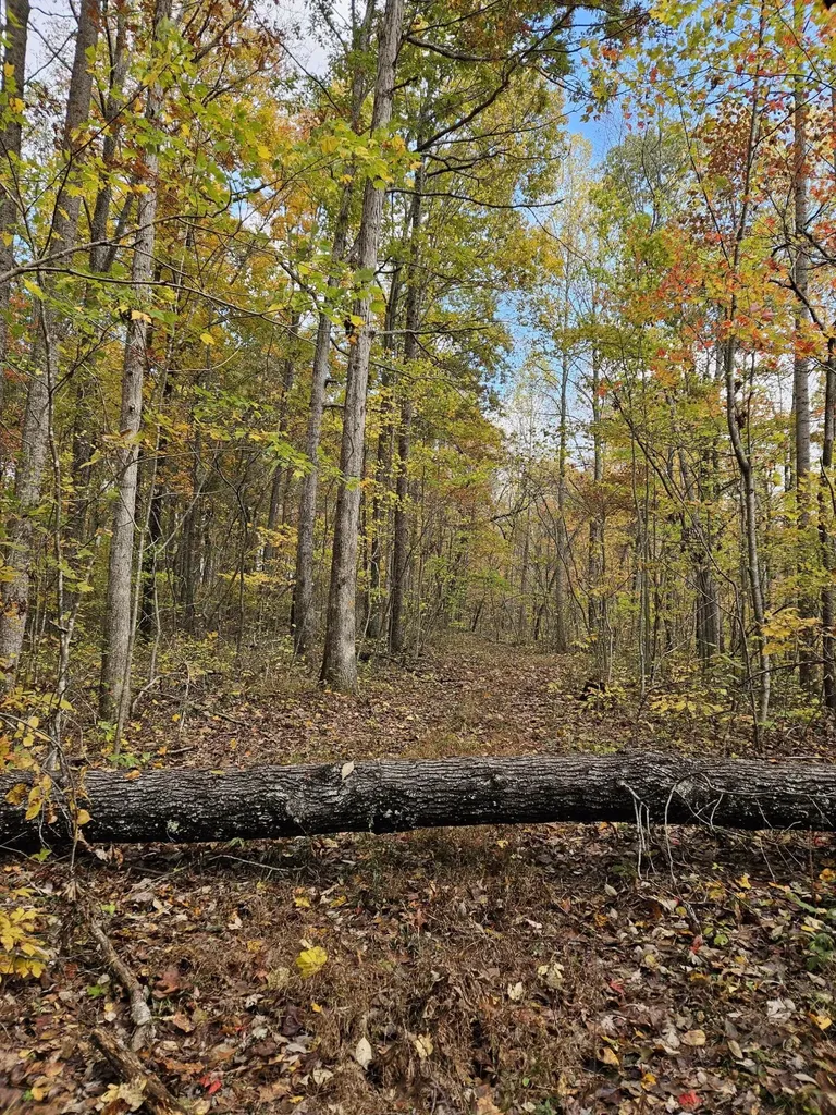 320 Cravens Hollow Road Liberty KY 42539