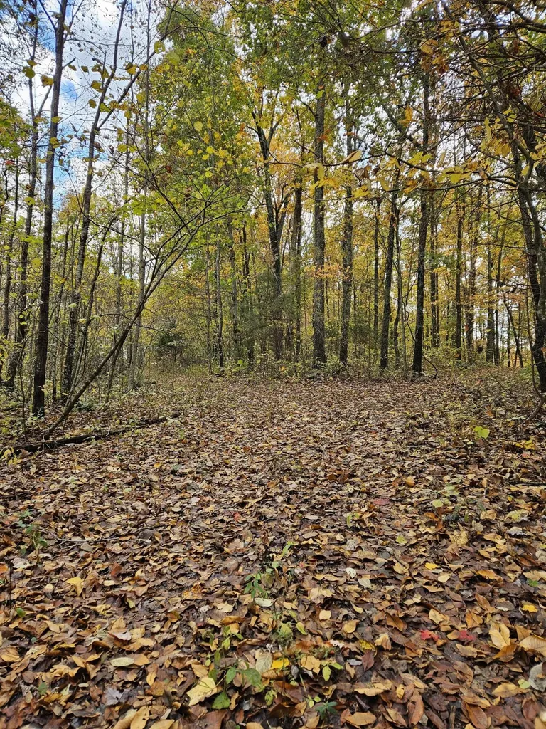 320 Cravens Hollow Road Liberty KY 42539