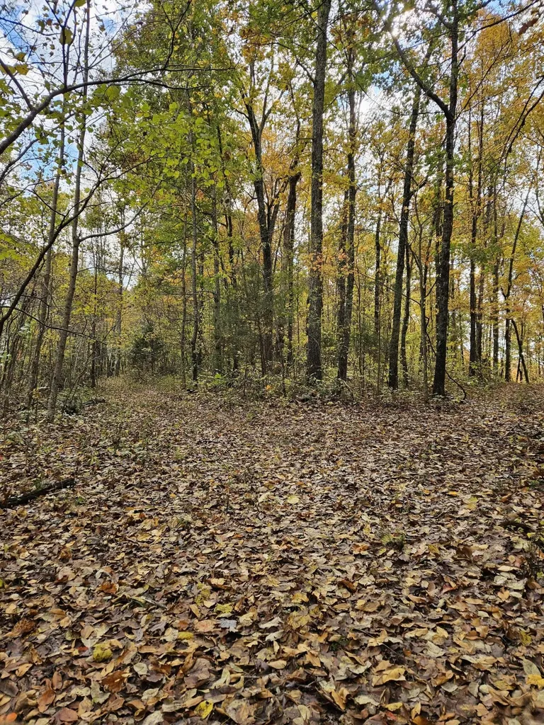 320 Cravens Hollow Road Liberty KY 42539