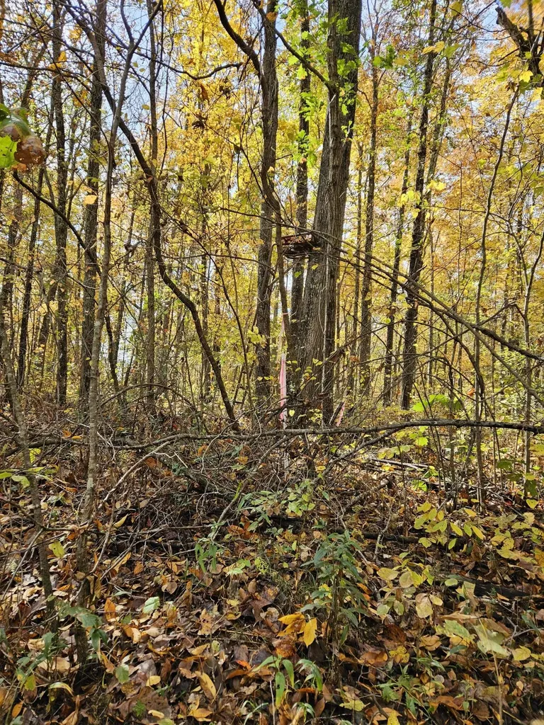 320 Cravens Hollow Road Liberty KY 42539