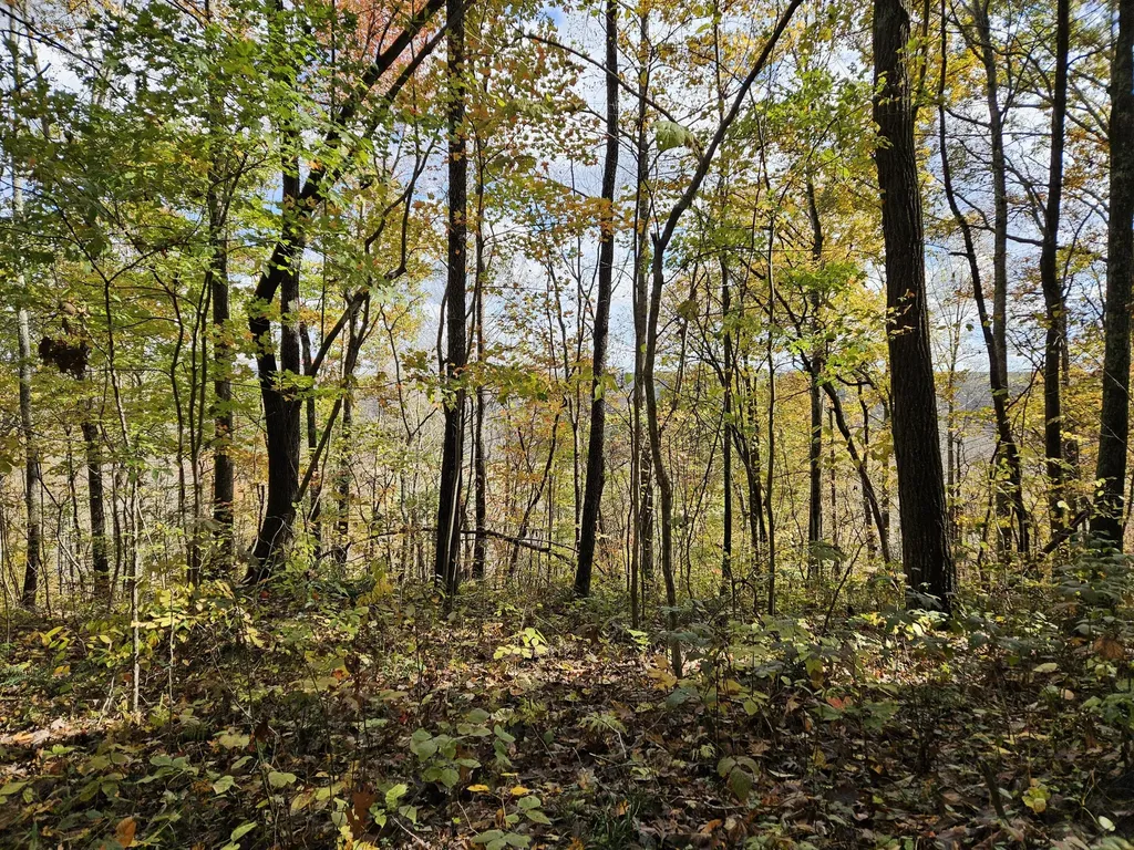 320 Cravens Hollow Road Liberty KY 42539