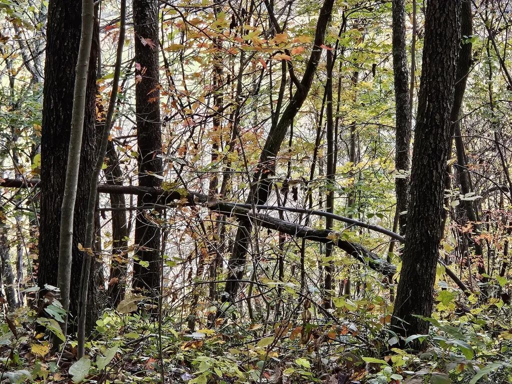 320 Cravens Hollow Road Liberty KY 42539