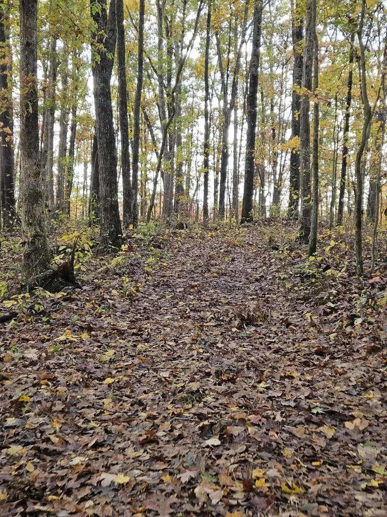 320 Cravens Hollow Road Liberty KY 42539