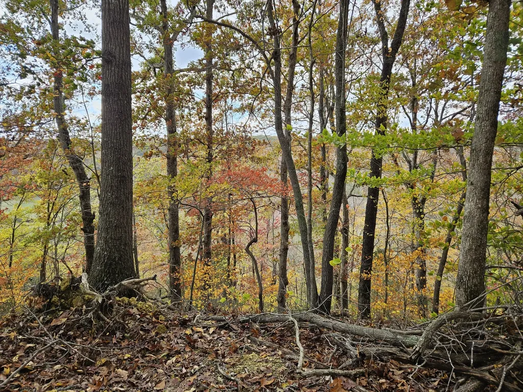 320 Cravens Hollow Road Liberty KY 42539