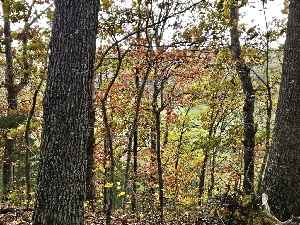 320 Cravens Hollow Road Liberty KY 42539