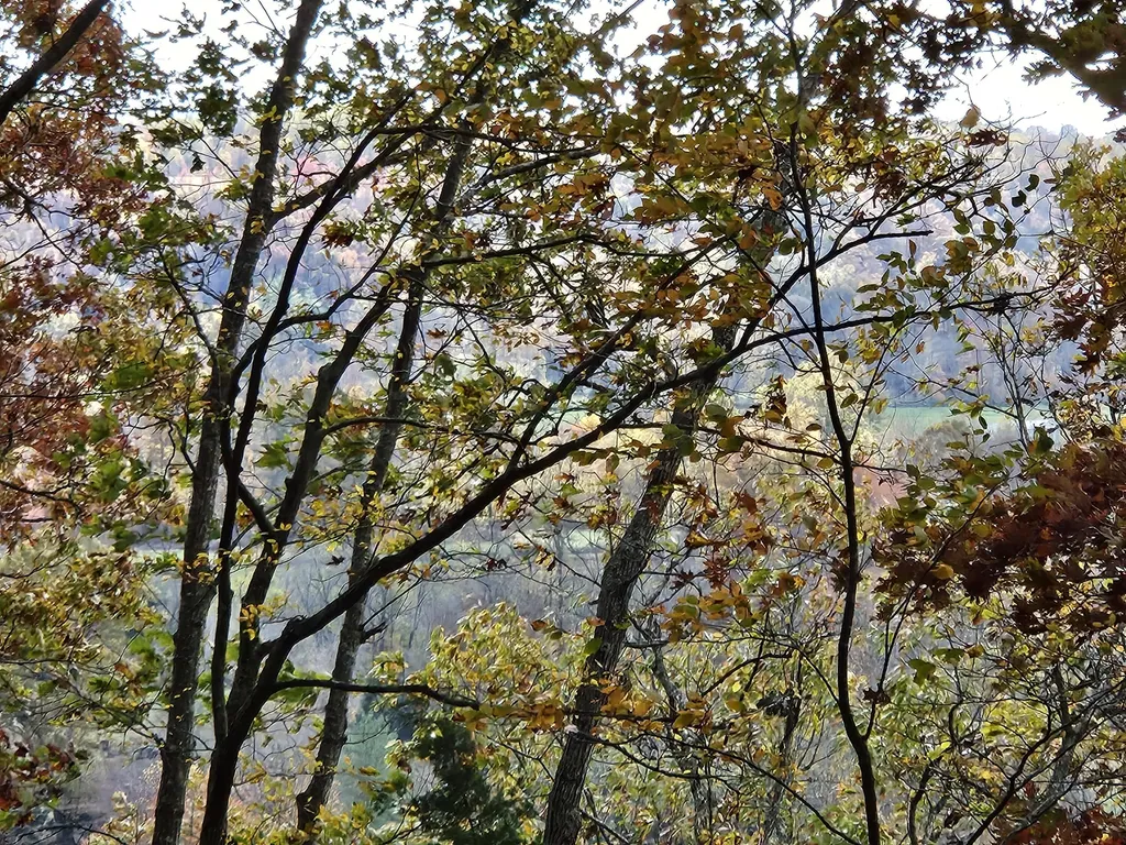 320 Cravens Hollow Road Liberty KY 42539