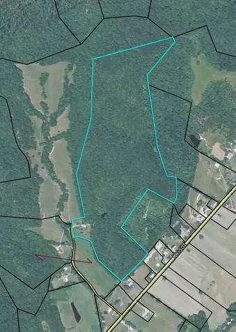 320 Cravens Hollow Road Liberty KY 42539