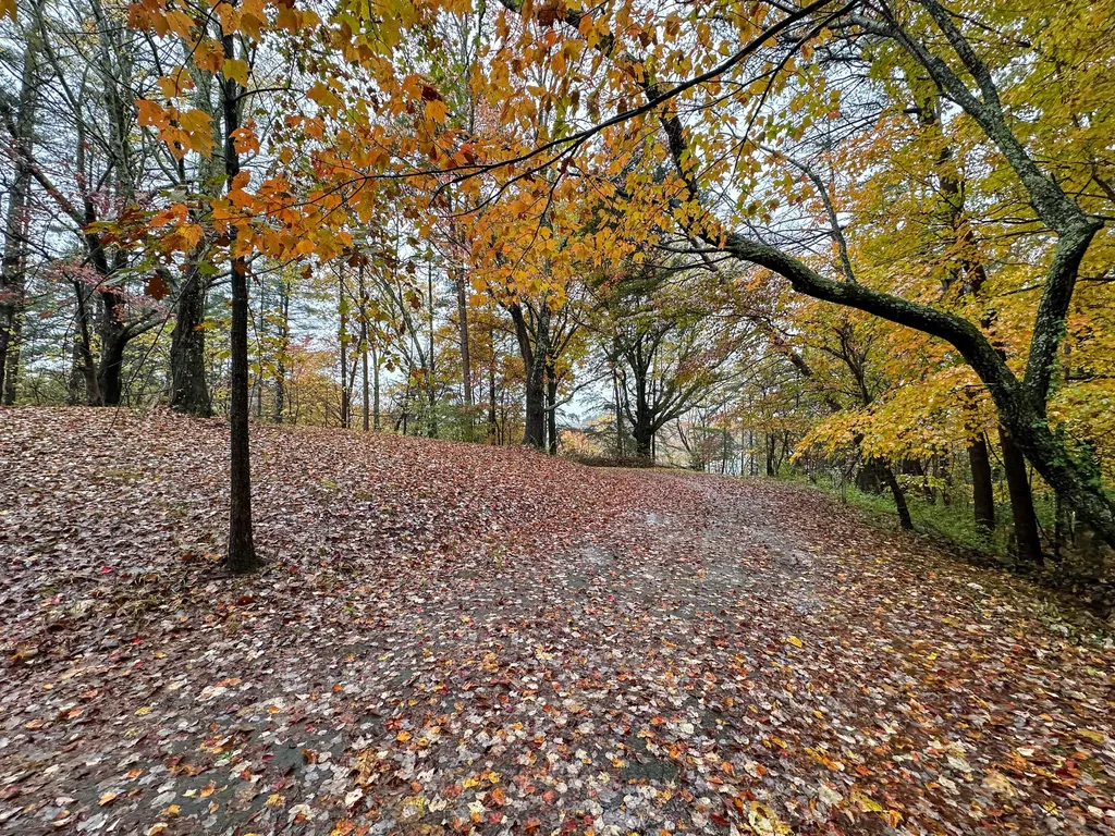 230 North Laurel Road London KY 40741