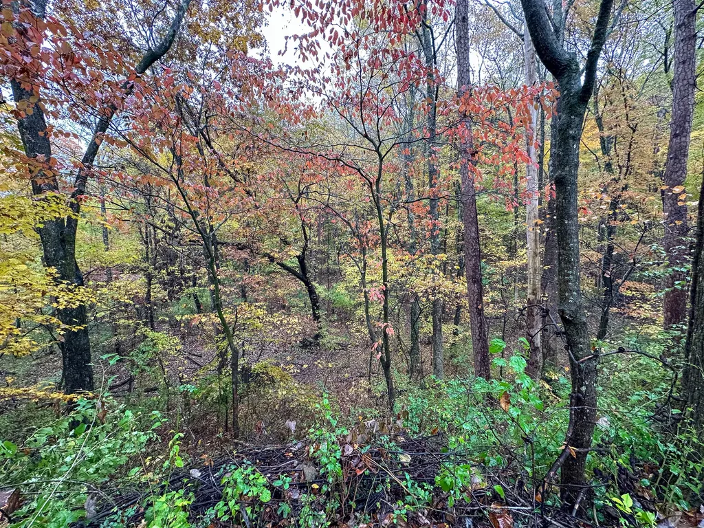 230 North Laurel Road London KY 40741
