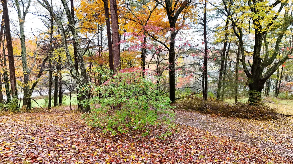 230 North Laurel Road London KY 40741