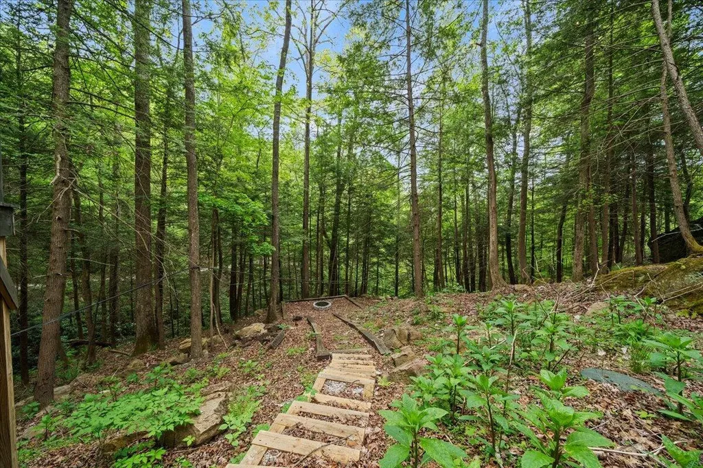 507 Cave Hollow Road Campton KY 41301