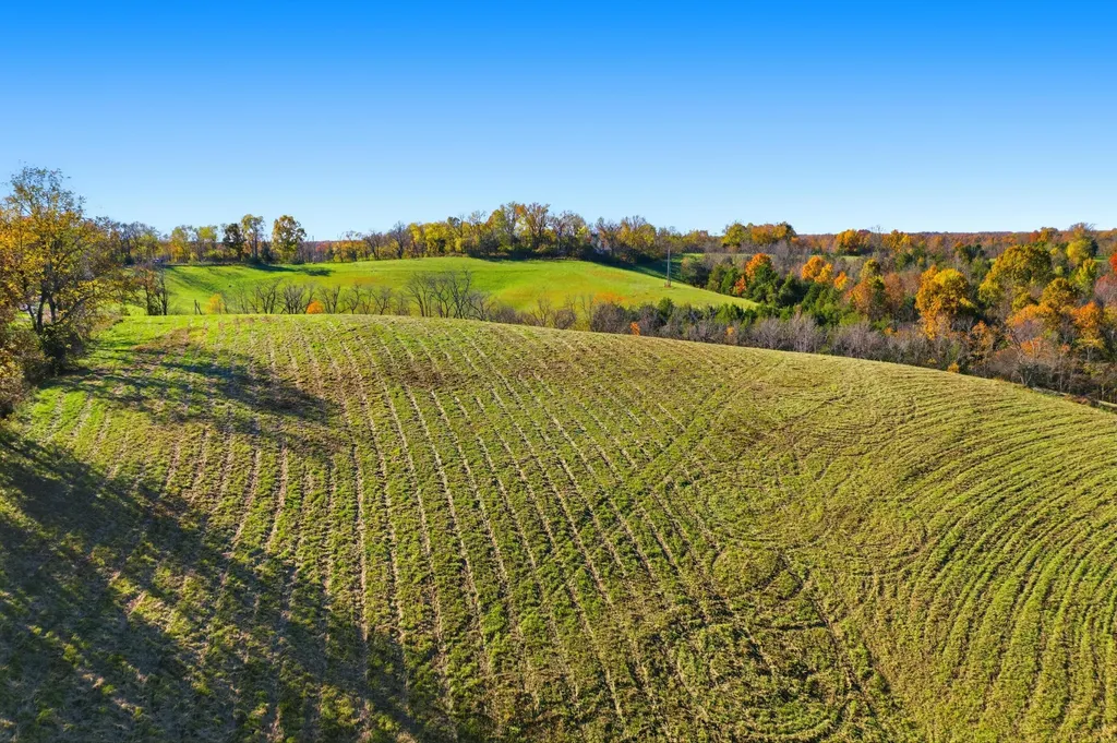 47.48 Tatum Springs Road Willisburg KY 40078
