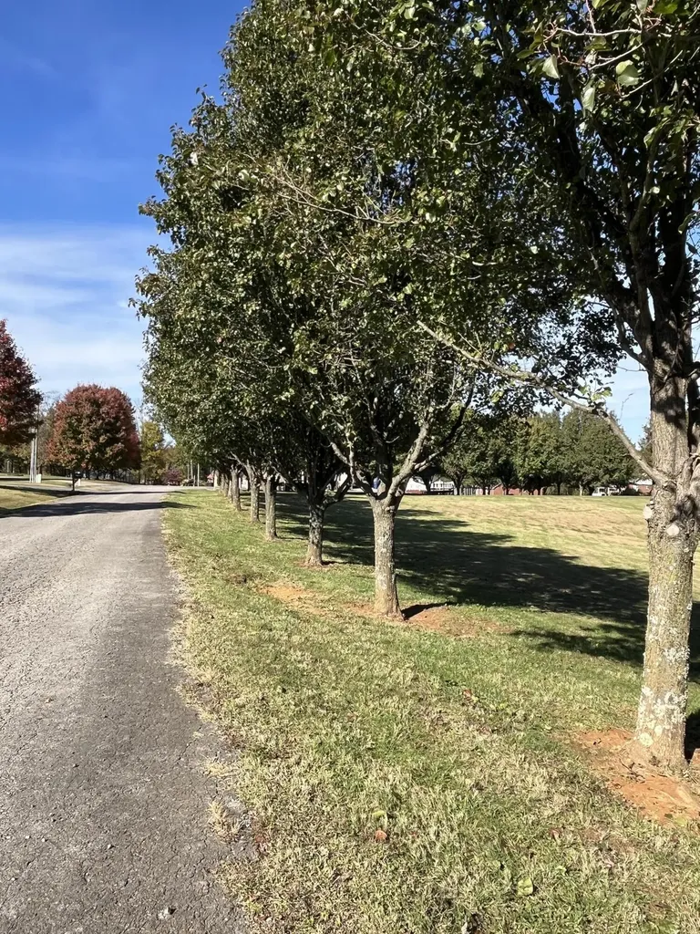 28 Farmington Way Columbia KY 42728