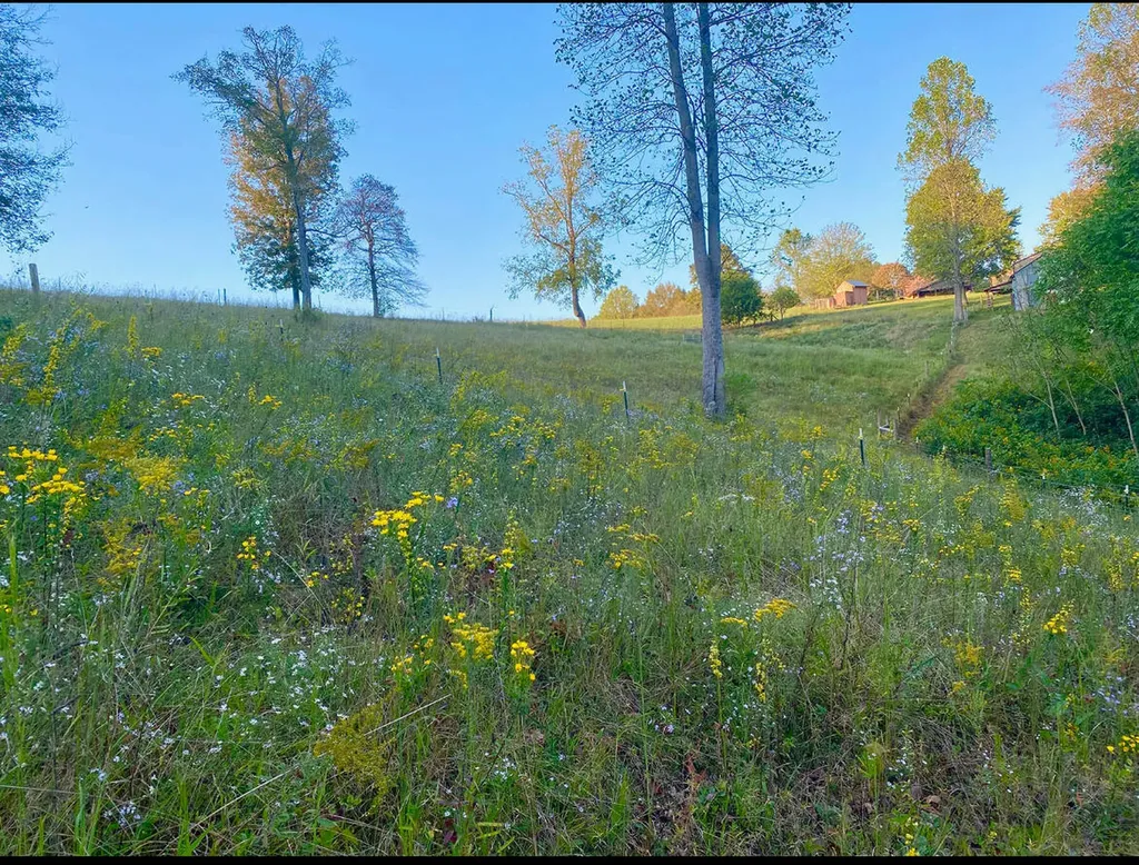 345 Fairview Road Columbia KY 42728