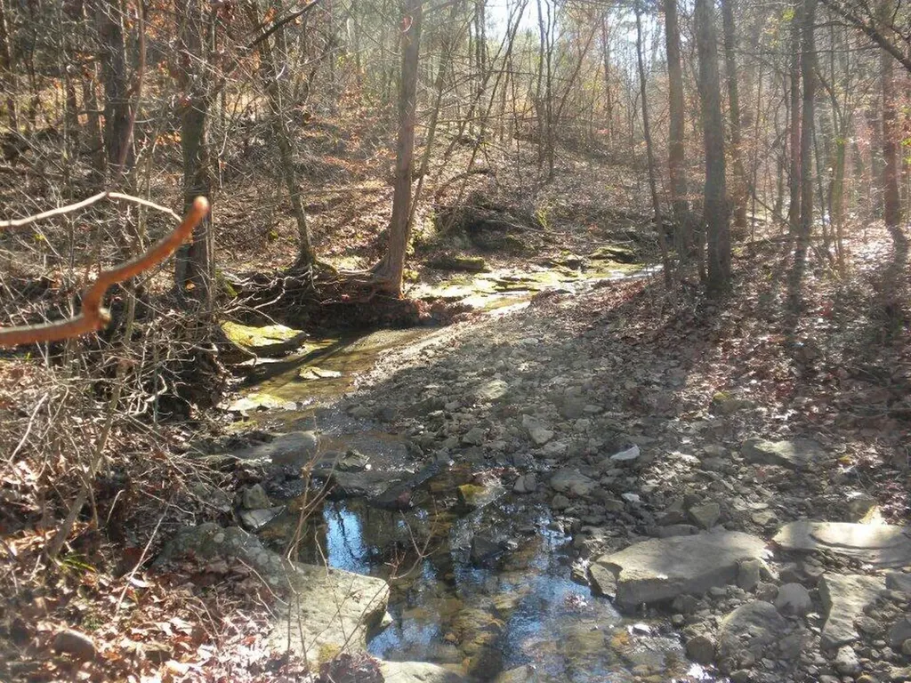 2409 Benleo Road Bowling Green KY 42101