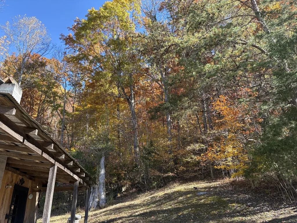 3999 Mckee Road Irvine KY 40336