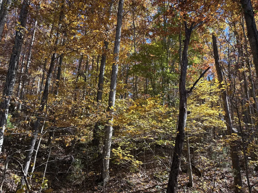 3999 Mckee Road Irvine KY 40336