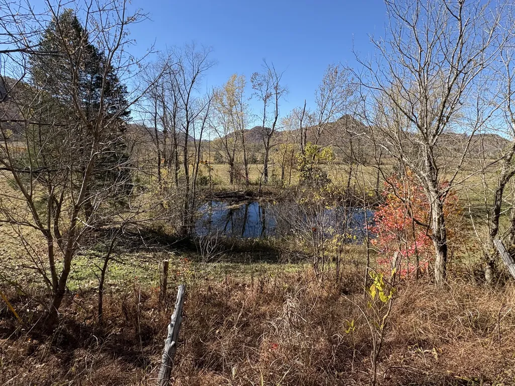 3999 Mckee Road Irvine KY 40336