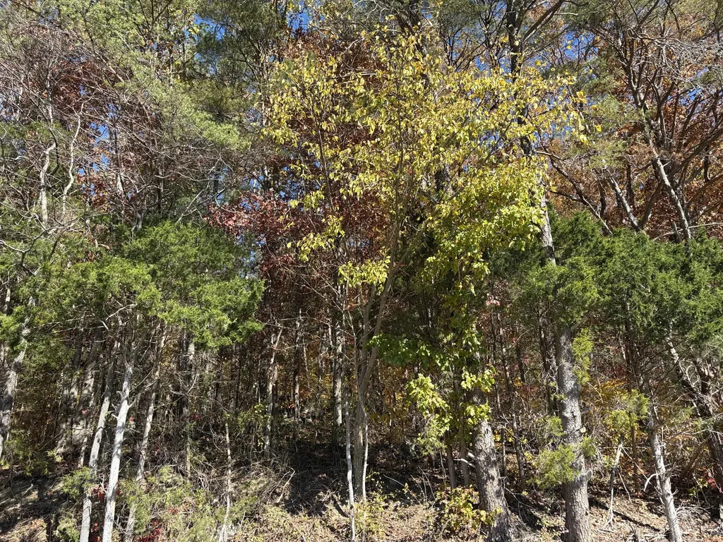 3999 Mckee Road Irvine KY 40336