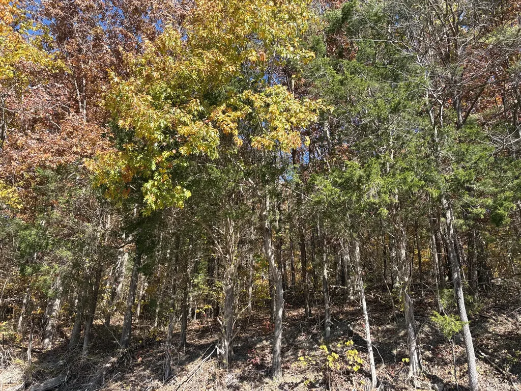 3999 Mckee Road Irvine KY 40336