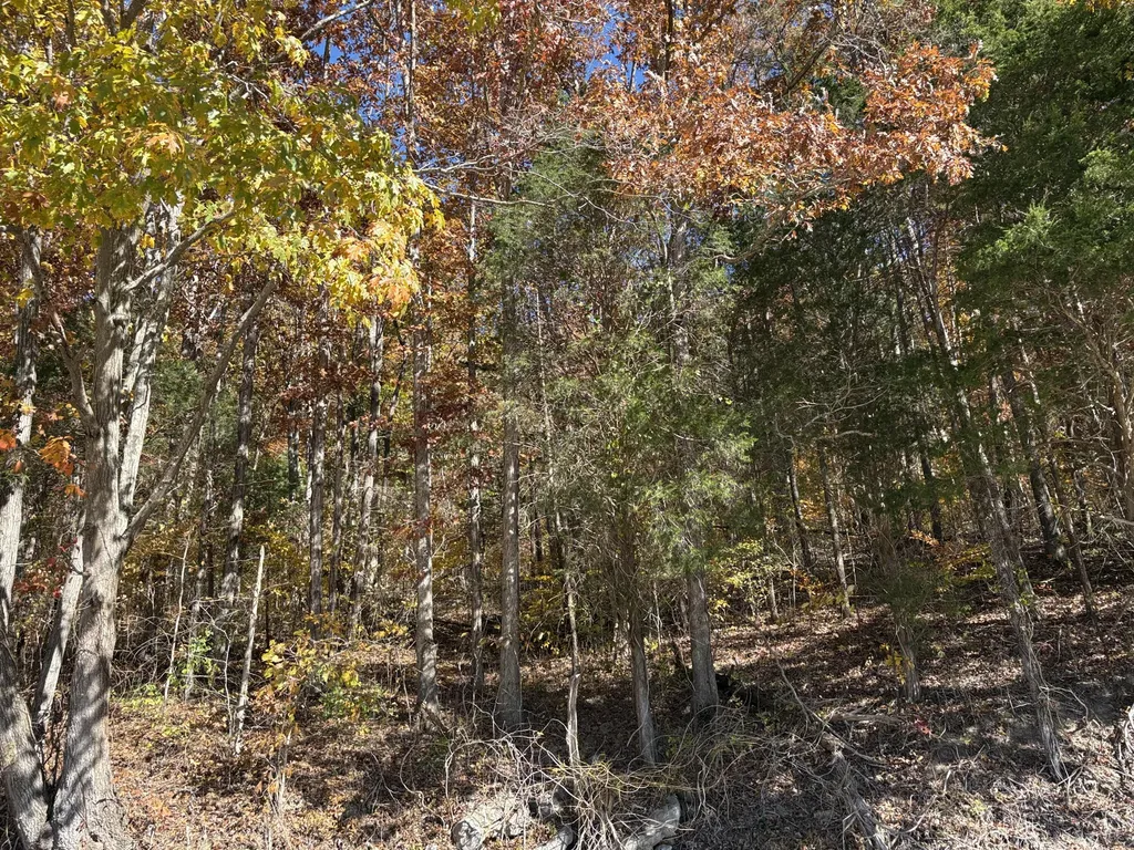 3999 Mckee Road Irvine KY 40336