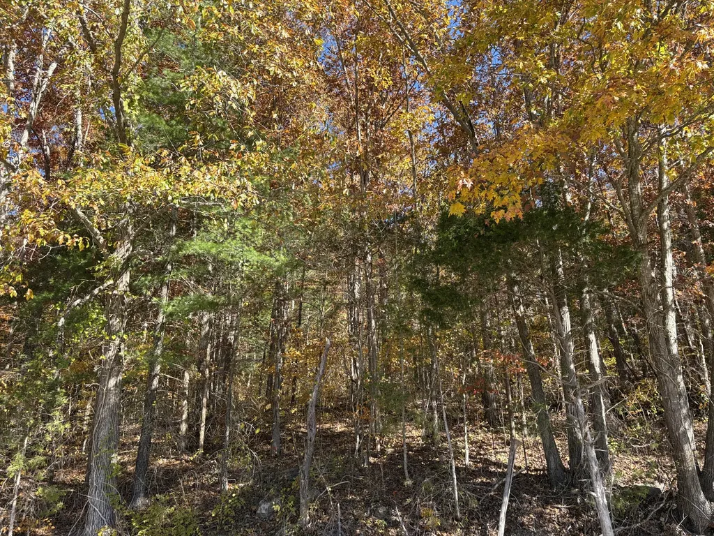 3999 Mckee Road Irvine KY 40336