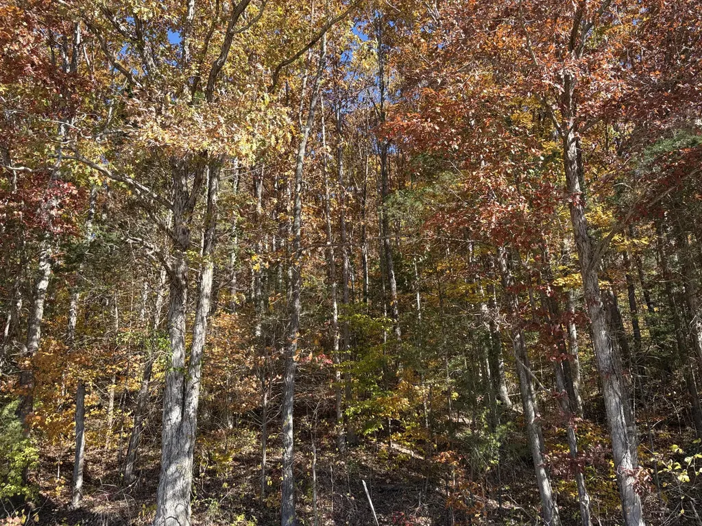 3999 Mckee Road Irvine KY 40336