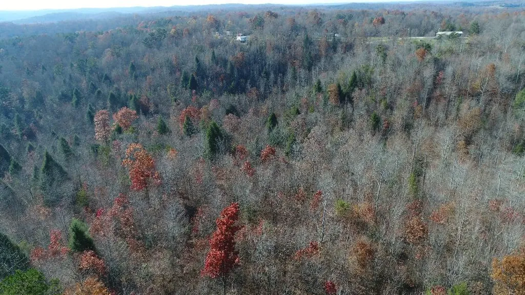 4520 Mill Creek Road Parkers Lake KY 42634
