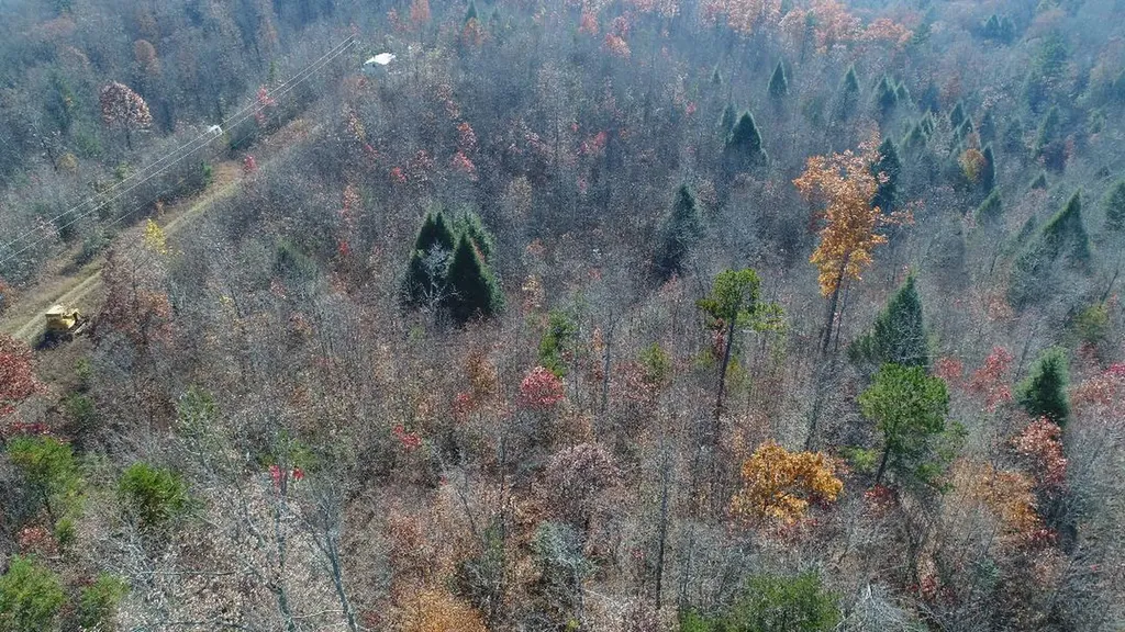 4520 Mill Creek Road Parkers Lake KY 42634