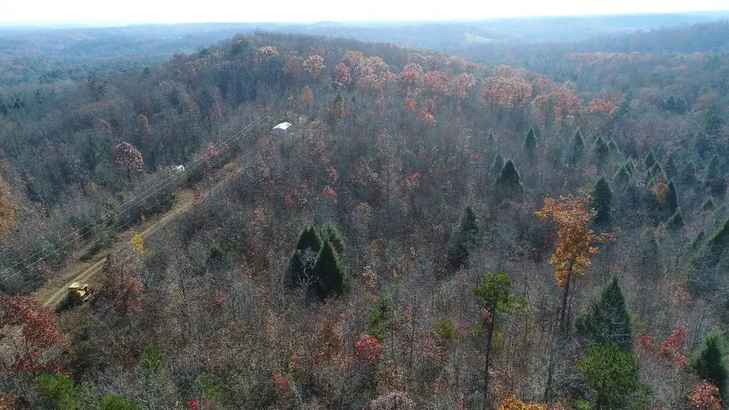 4520 Mill Creek Road Parkers Lake KY 42634
